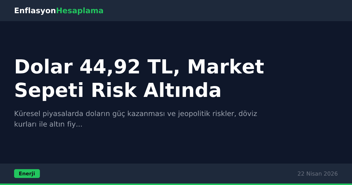 Dolar 44,92 TL, Market Sepeti Risk Altında