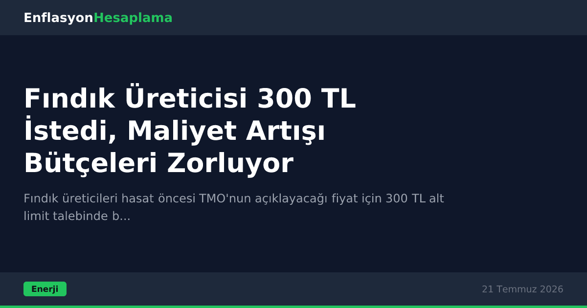 Fındık Üreticisi 300 TL İstedi, Maliyet Artışı Bütçeleri Zorluyor