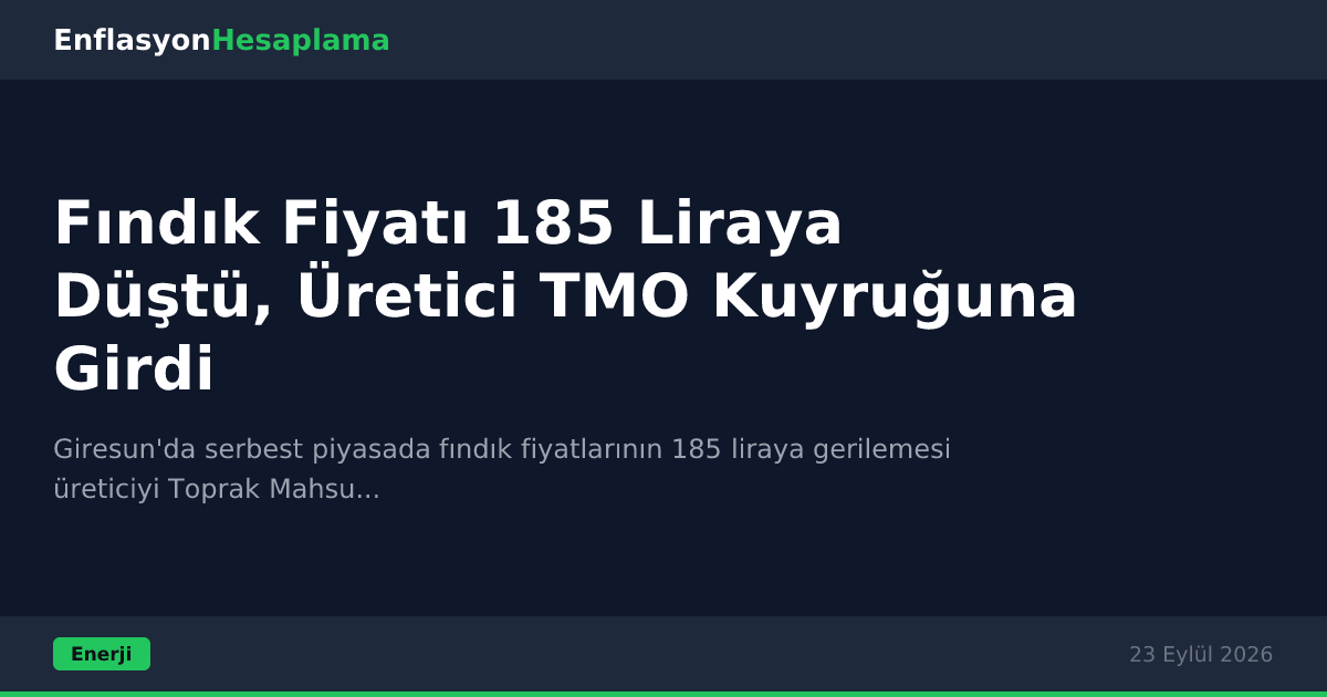 Fındık Fiyatı 185 Liraya Düştü, Üretici TMO Kuyruğuna Girdi