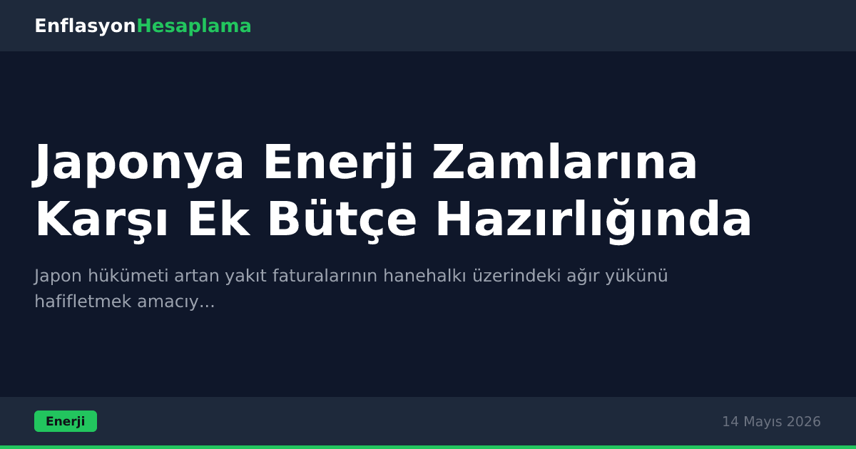 Japonya Enerji Zamlarına Karşı Ek Bütçe Hazırlığında