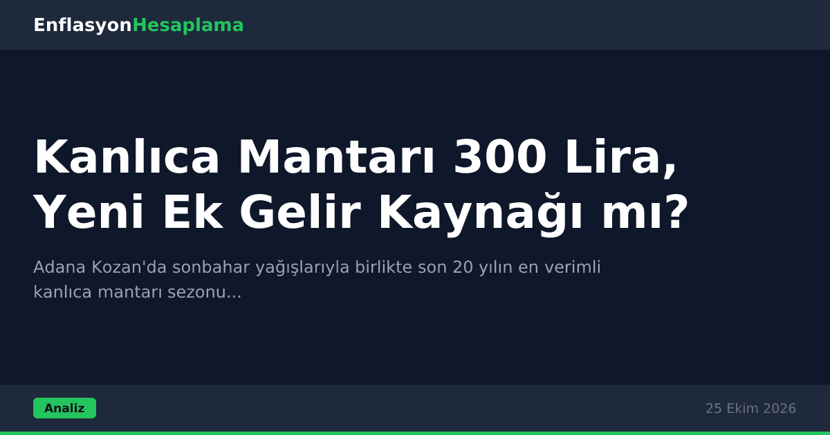 Kanlıca Mantarı 300 Lira, Yeni Ek Gelir Kaynağı mı?