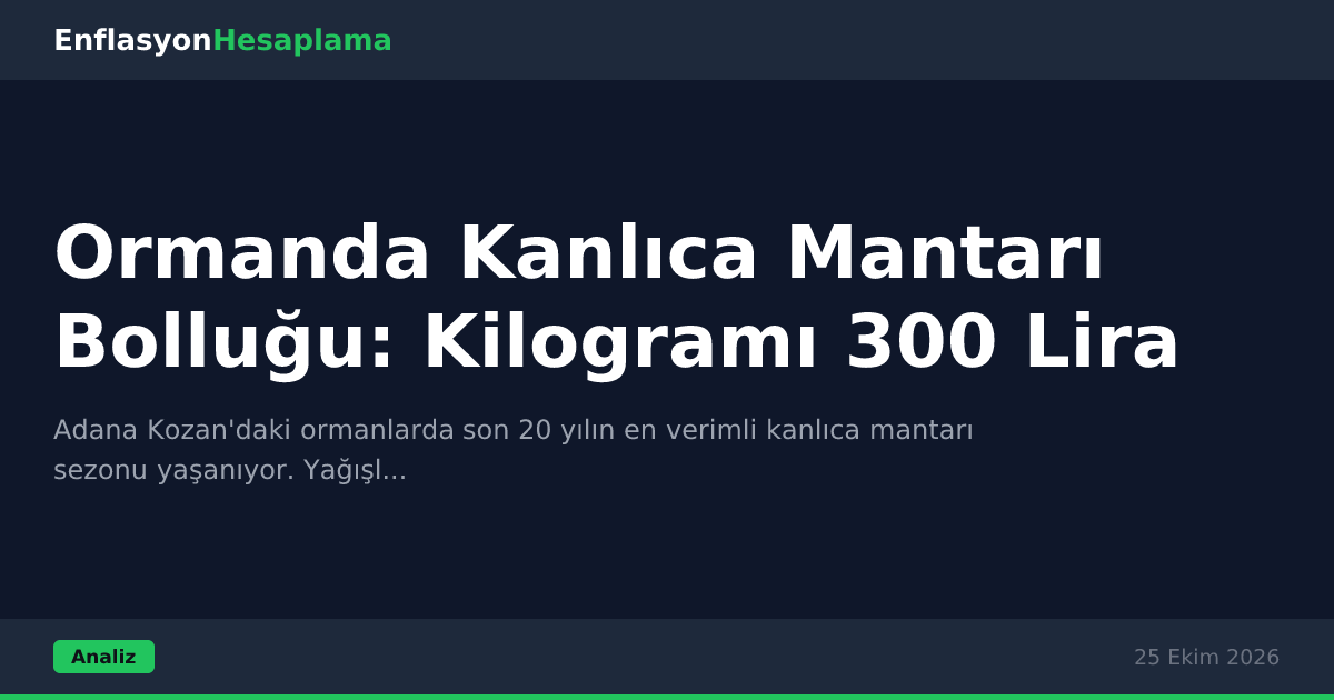 Ormanda Kanlıca Mantarı Bolluğu: Kilogramı 300 Lira