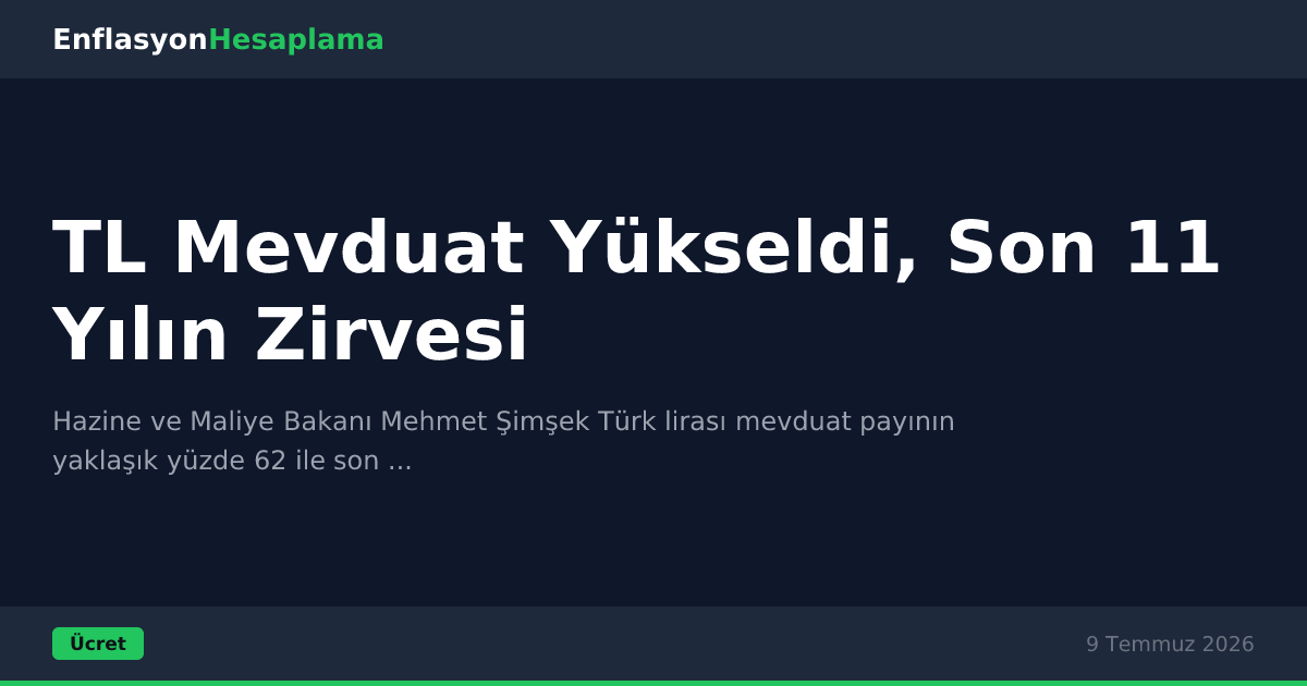 TL Mevduat Yükseldi, Son 11 Yılın Zirvesi