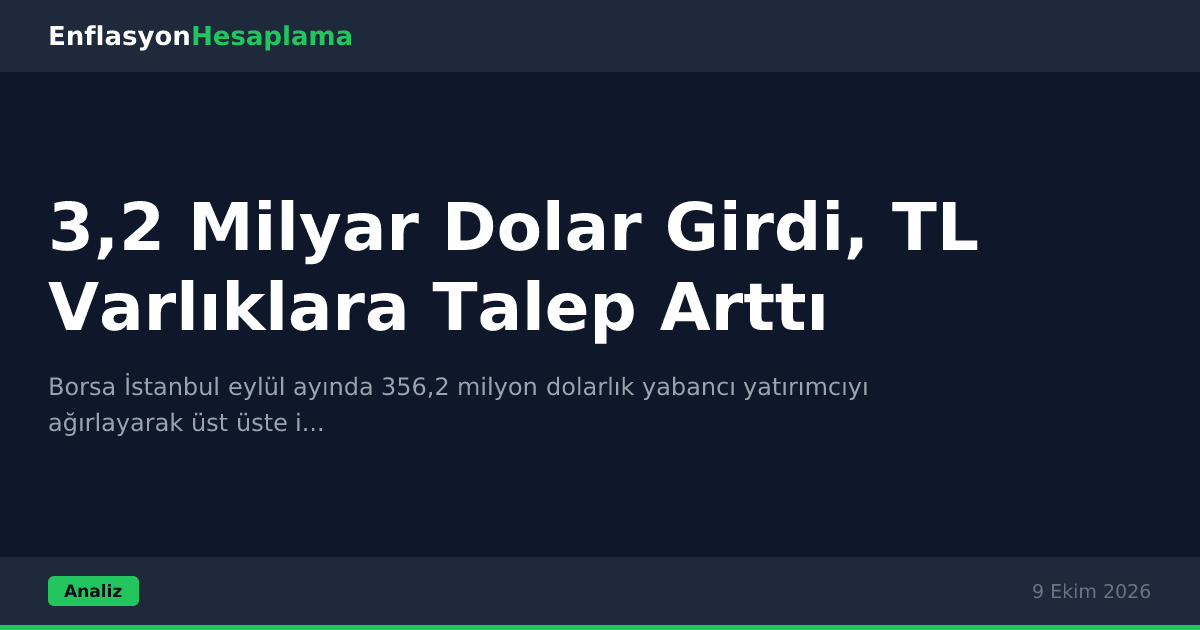 3,2 Milyar Dolar Girdi, TL Varlıklara Talep Arttı