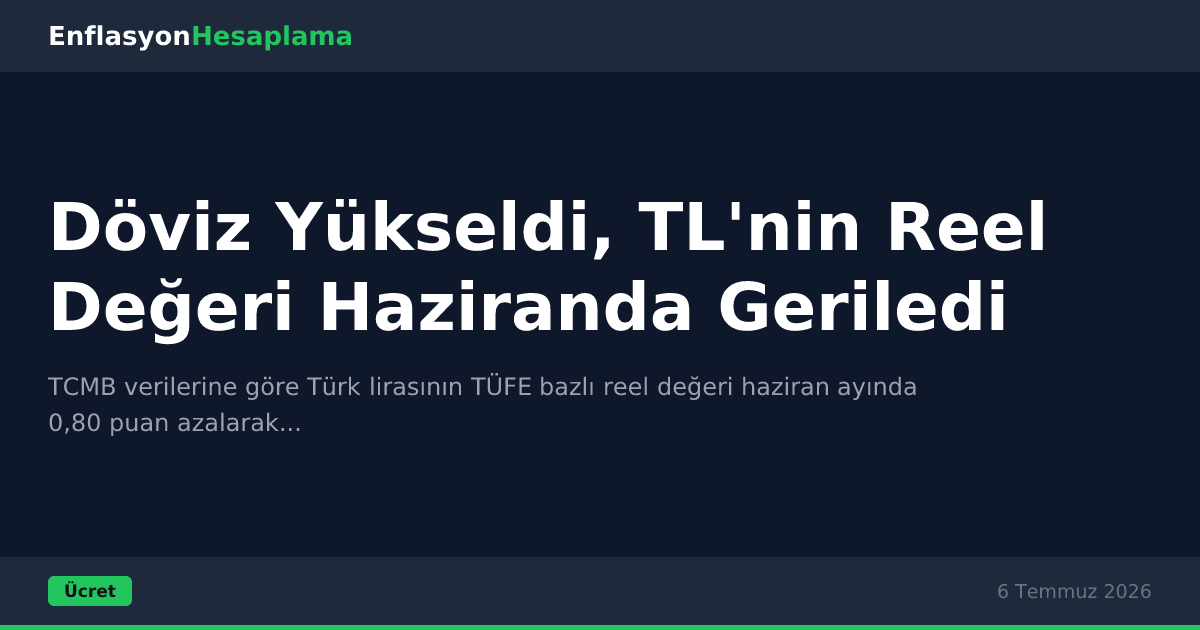 Döviz Yükseldi, TL'nin Reel Değeri Haziranda Geriledi