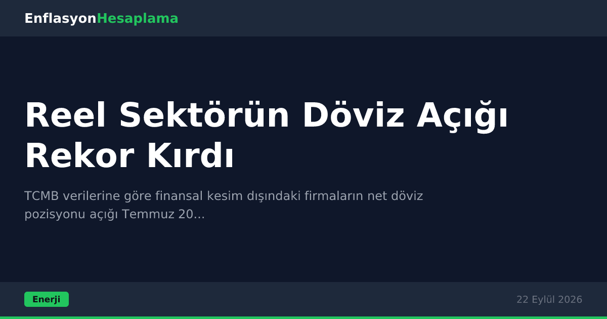 Reel Sektörün Döviz Açığı Rekor Kırdı
