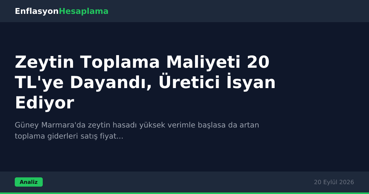 Zeytin Toplama Maliyeti 20 TL'ye Dayandı, Üretici İsyan Ediyor